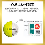 グラウンドゴルフセット ブラックパーシモンクラブセット