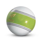 2024年モデル パークゴルフ ボール ナビゲーションボール