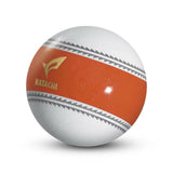 2024年モデル パークゴルフ ボール ナビゲーションボール