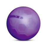 シュートボール グラウンドゴルフボール