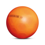 シュートボール グラウンドゴルフボール