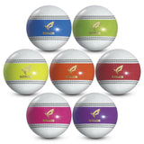 2024年モデル パークゴルフ ボール ナビゲーションボール