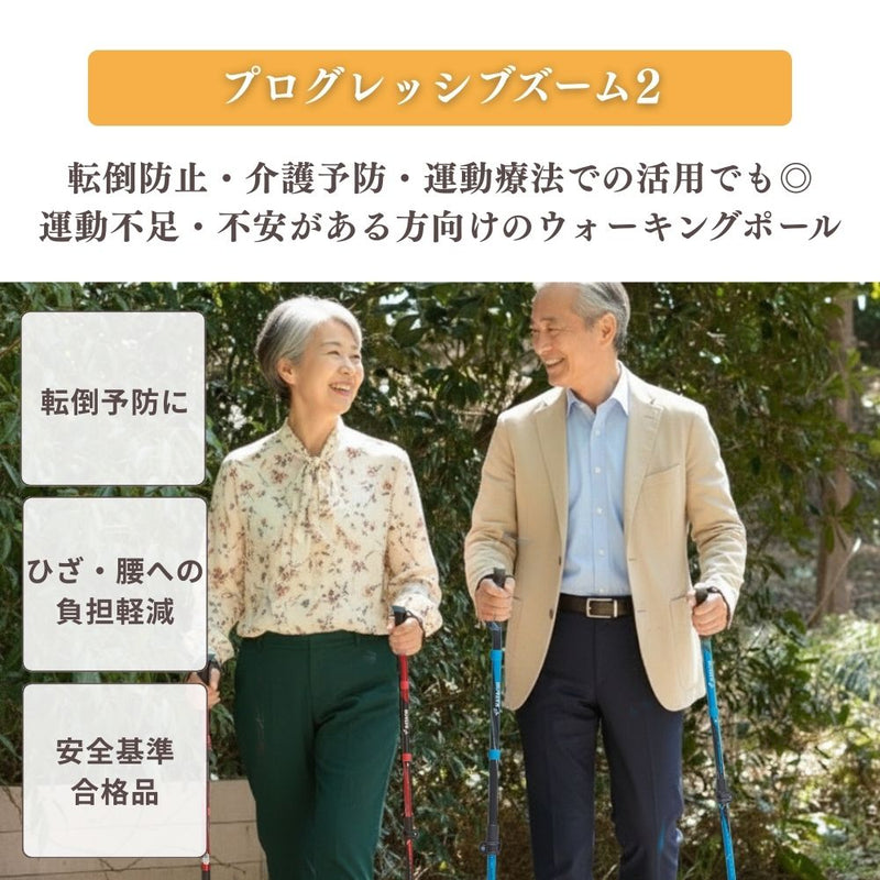 DFPプログレッシブズーム2