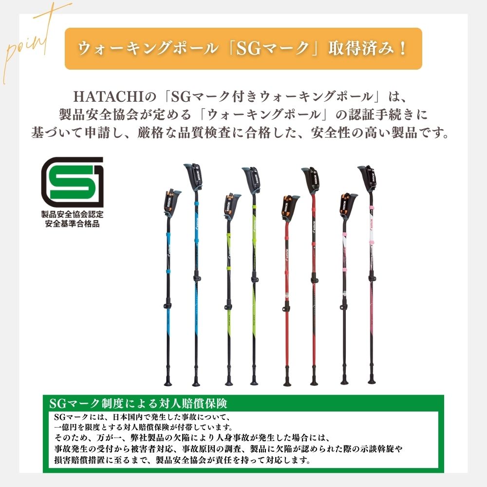 DFPプログレッシブズーム2｜ノルディックウォーキング 羽立工業株式