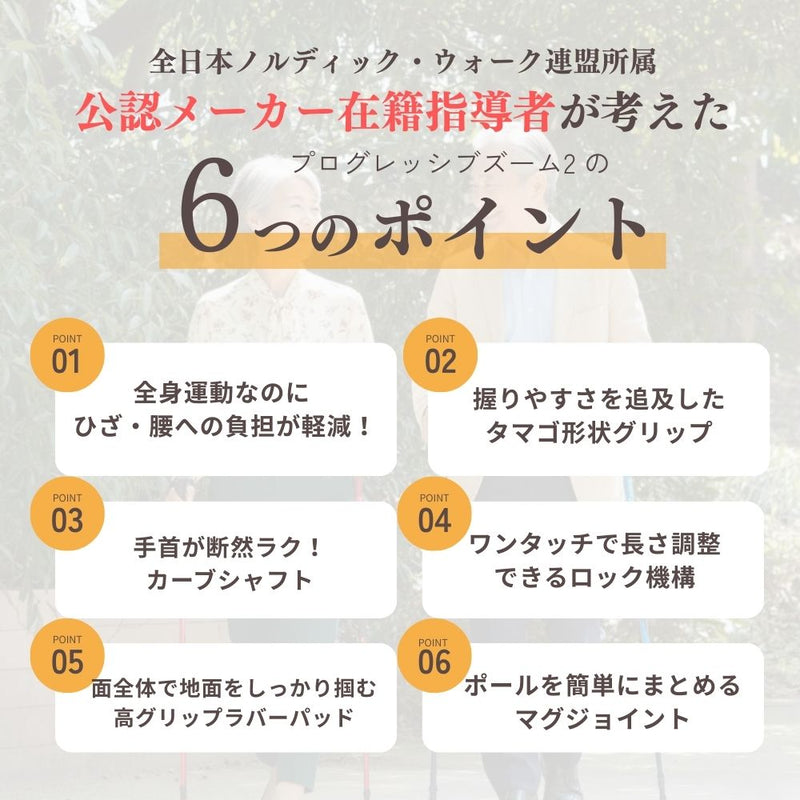 DFPプログレッシブズーム2