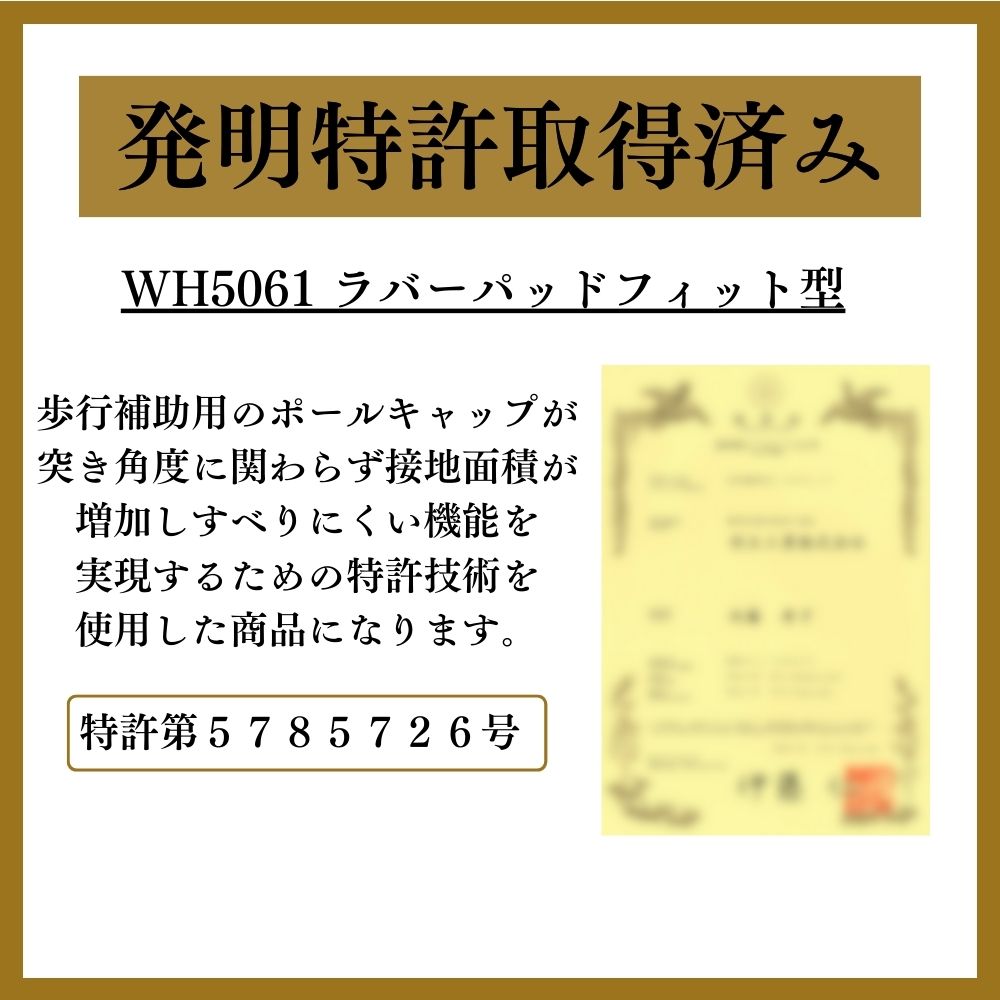 DFPプログレッシブズーム2｜ノルディックウォーキング 羽立工業株式