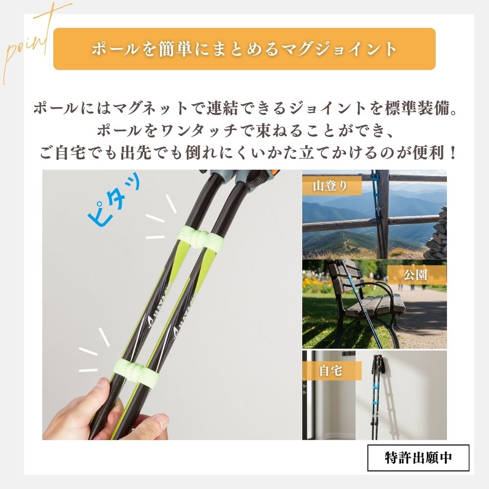 DFPプログレッシブズーム2｜ノルディックウォーキング 羽立工業株式