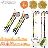 AGPツアーセクター4