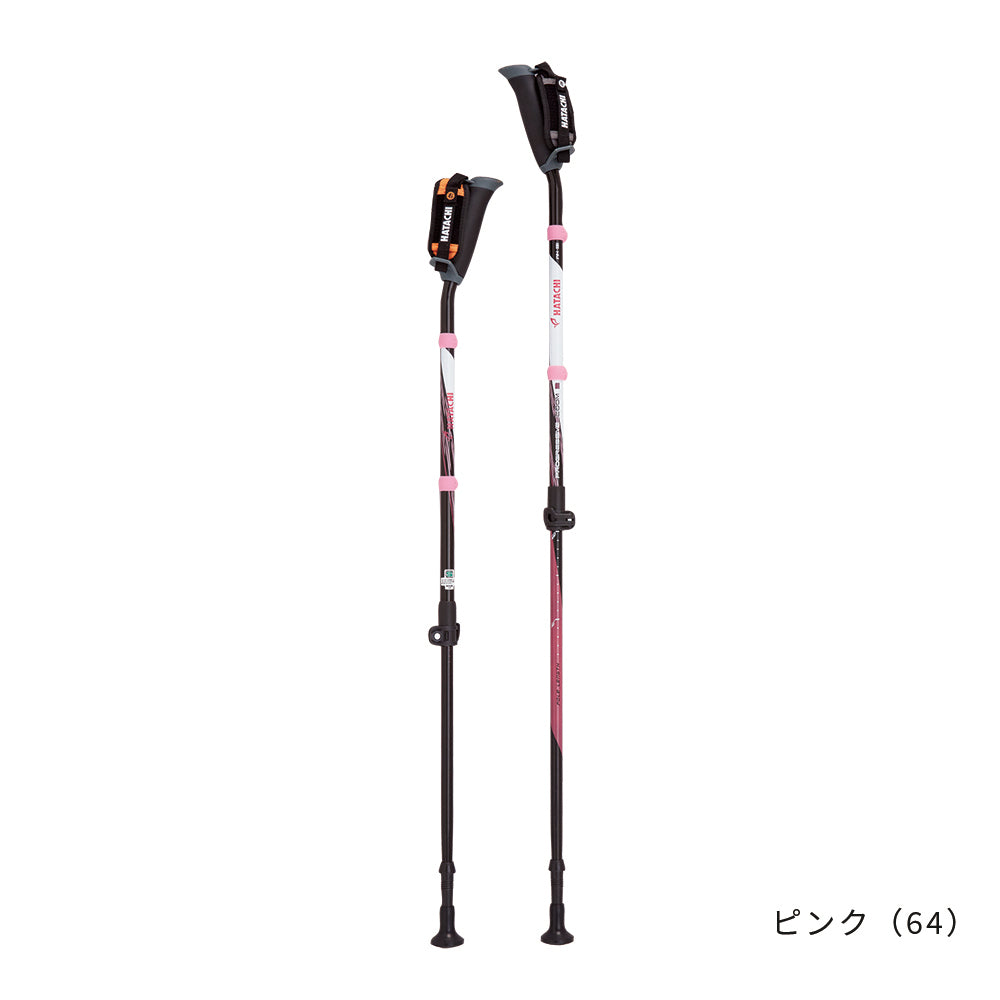 DFPプログレッシブズーム2｜ノルディックウォーキング 羽立工業